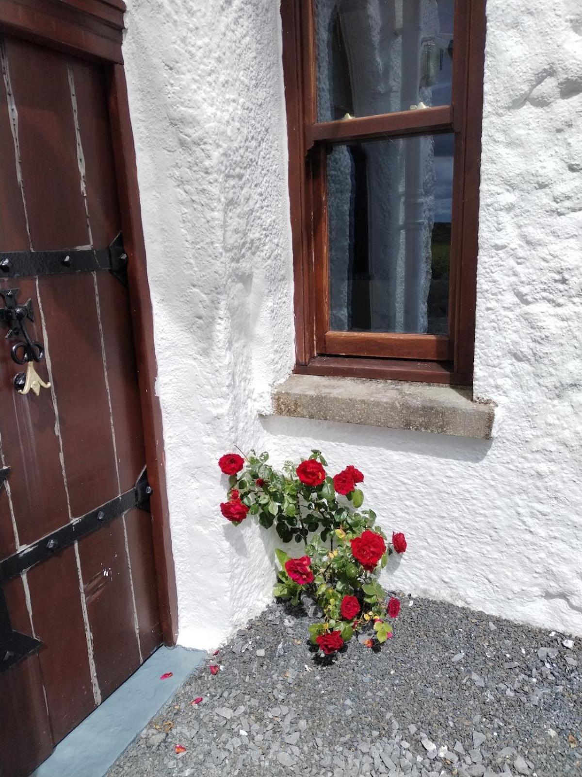 Villa NEW: The Burren Art Gallery -  Tubber Exterior foto